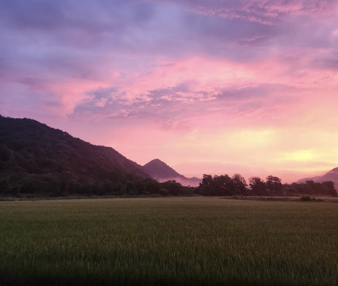 北海道仁木町・山北農場の夏の朝焼けの田園風景