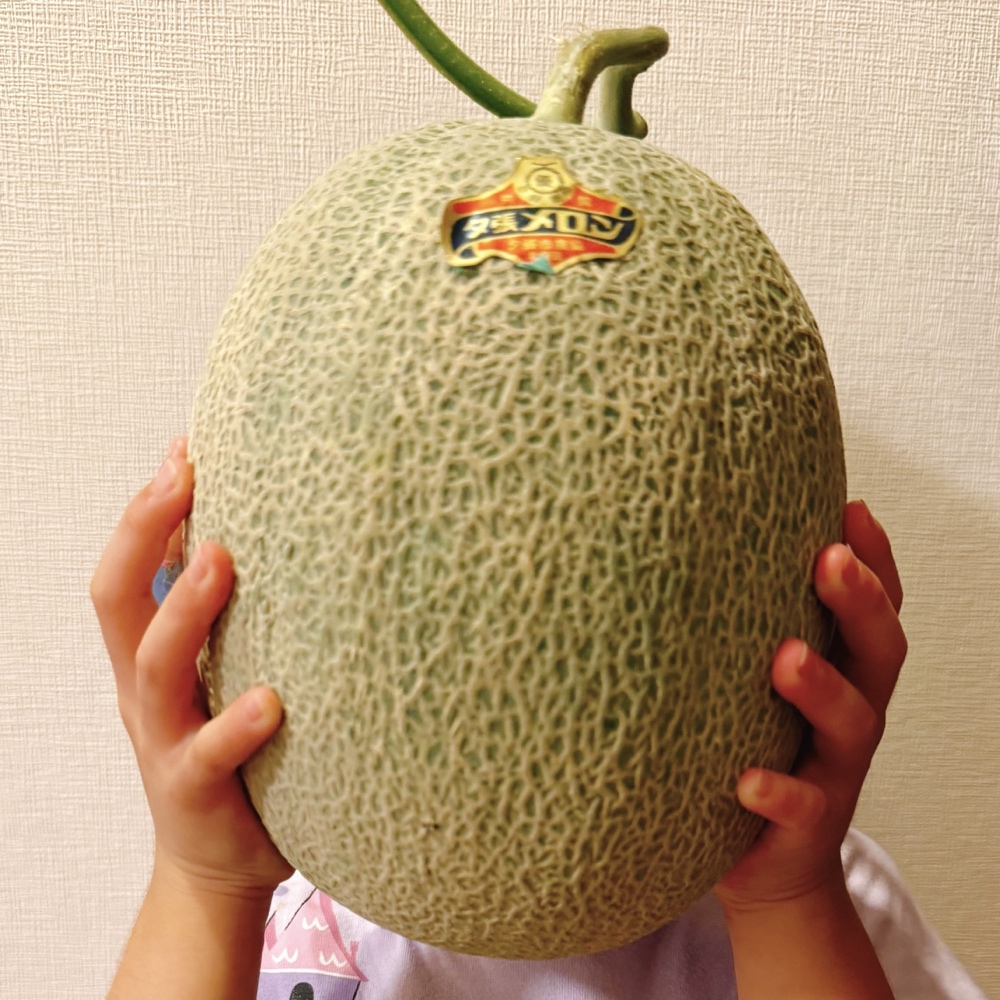 顔より大きいメロン